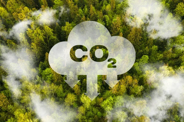 Konzept Das Das Problem Der Kohlendioxidemissionen Und Ihre Auswirkungen Auf lizenzfreie Stockfotos