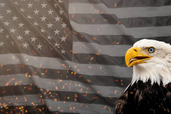 Днем Труда Знамя Американский Патриотический Фон — стоковое фото