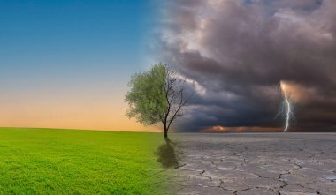 İklim değişikliği, hava kirliliği ve kar fırtınası olan ölü ağaç ve güzel güneş ışığı gökyüzü metaforu olan yeşil çimenler doğa felaketi ve küresel ısınma kavramı.. 