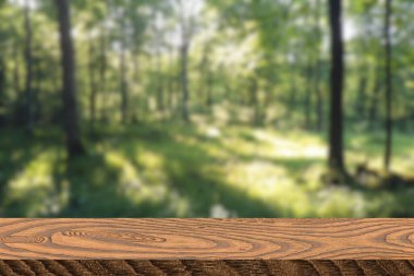 ahşap plakalar zemin ile sonbahar ormandaki güzel güneş ışığı