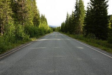 Görkemli dağların manzarası ve yazın Norveç manzarası olan boş bir yol..
