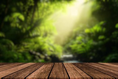 ahşap yerde perspektif ve ışık ışını ile yeşil orman.