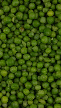 Yeşil bezelye arkaplanı. Çiftlik arazisinden bezelye kabukları. Taze toplanmış bezelye. Organik taze sebzeler. Sağlıklı beslenme. Kırsal bahçe hasadı.