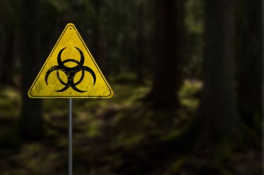 Radyoaktif biyolojik tehlike kirliliği. Ormandaki kirlenmiş bölgenin yakınındaki tehlike sembollü sarı uyarı işareti