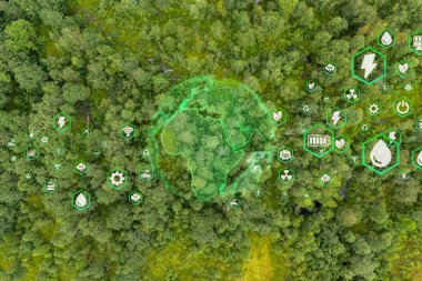 Crystal globe putting on moss, ESG icon for Environment Social and Governance, World sustainable environment concept.