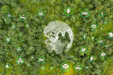 Sürdürülebilir kalkınma hedefi (SDG 'ler) kavramı. Çevre simgesi ile küresel iletişim ağını yeşil bir zeminde tutan eller. Yeşil teknoloji ve çevre teknolojisi.