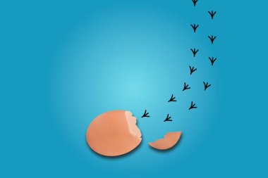 Yumurtanın içinde beyaz bir arkaplan eşliğinde, yumurtanın iç duvarlarına kazınmış hashmark zaman çizelgesiyle yumurtadan yeni çıkmış beyaz bir yumurta kabuğu bırakan ayak izleri..