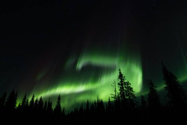 Aurora australis veya Aurora borealis veya yeşil kuzey ışıkları dağların üzerinde gökyüzü. Kutup ışıklarıyla gece gökyüzü. Güney ışıkları ve gerçek doğal kara arka plana karşı gece manzarası..