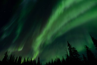 Aurora australis veya Aurora borealis veya yeşil kuzey ışıkları dağların üzerinde gökyüzü. Kutup ışıklarıyla gece gökyüzü. Güney ışıkları ve gerçek doğal kara arka plana karşı gece manzarası..