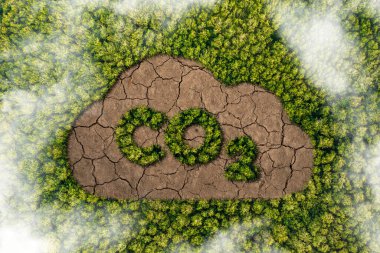 Karbondioksit emisyonu sorununu ve bunun doğa üzerindeki etkisini verimli bir ormanda bulunan karbondioksit sembolü şeklinde tasvir edin. 3d oluşturma.