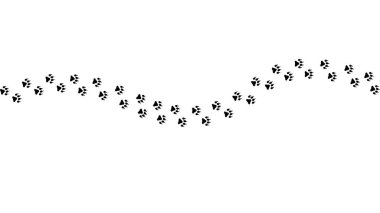 Evcil hayvan, köpek ya da kedi ayak izleri. Hayvan izleri. Pençe izi. Ayak yavrusu. Siyah siluet şekilli pençe izi. Ayak izi hayvanı. Hayvan izleri. İz süren köpekler, kediler. Güzel arka plan sağa dön. Tasarım yürüyüşleri. Vektör