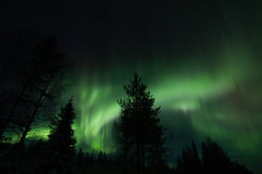 Laponya, Finlandiya 'da Aurora borealis (kuzey ışıkları).