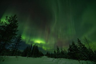 Laponya, Finlandiya 'da Aurora borealis (kuzey ışıkları).