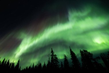 Çok renkli büyük yeşil renkli Aurora Borealis 'in güzel bir resmi, Aurora Polaris, aynı zamanda kış boyunca gökyüzünde Kuzey Işıkları olarak da bilinir. Laponya, Norveç, İskandinavya