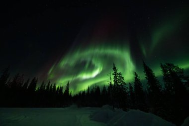 Çok renkli büyük yeşil renkli Aurora Borealis 'in güzel bir resmi, Aurora Polaris, aynı zamanda kış boyunca gökyüzünde Kuzey Işıkları olarak da bilinir. Laponya, Norveç, İskandinavya