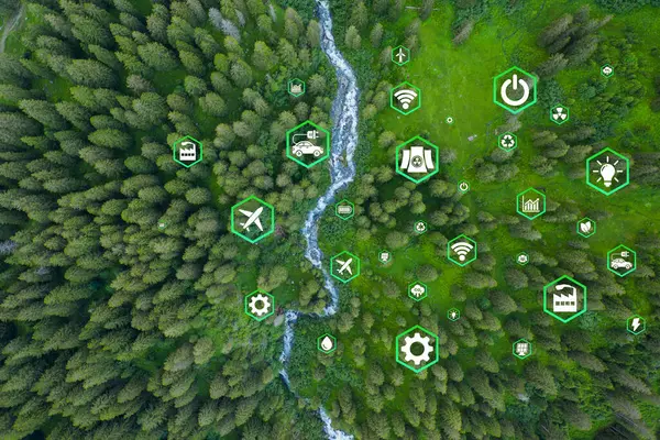 Ormanın çevre, sürdürülebilir kalkınma ve yenilenebilir enerji sınırı iklim değişikliği ve küresel ısınmaya dayanan yeşil işletmeler için en üst görünümde CO2 emisyon kavramını azaltma ikonu.