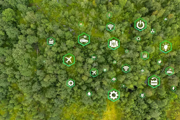 Ormanın çevre, sürdürülebilir kalkınma ve yenilenebilir enerji sınırı iklim değişikliği ve küresel ısınmaya dayanan yeşil işletmeler için en üst görünümde CO2 emisyon kavramını azaltma ikonu.