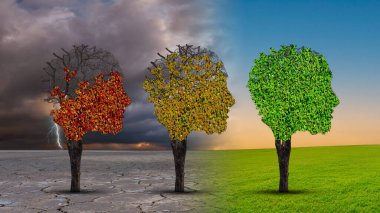 Bunama ve ruhsal sağlığın düzelmesi ve Alzheimer Beyin Hastalığı Terapisi kavramı nöroloji, psikoloji ve psikiyatri tedavi metaforu olarak iyileşmekte olan yaşlı ağaçlar gibi..