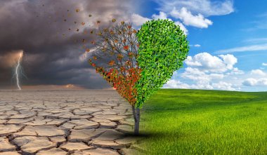 Dört mevsimde ağaç aşkı, tüm gözyaşı için romantik zaman, yılın dört mevsiminde kalp gibi görünen ağaç ve yıl boyunca toprakta büyüyen Sevgililer Günü. İklim değişikliği ilişki krizi kavramı.