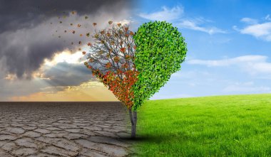 Dört mevsimde ağaç aşkı, tüm gözyaşı için romantik zaman, yılın dört mevsiminde kalp gibi görünen ağaç ve yıl boyunca toprakta büyüyen Sevgililer Günü. İklim değişikliği ilişki krizi kavramı.