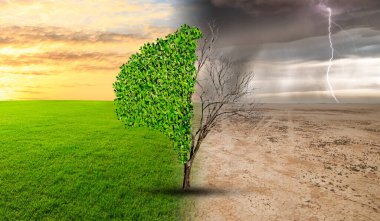 Kuraklık ve Yeşil Doğa Manzarası. İklim değişikliğindeki hayali bir manzaradaki ağaç kuraklıktan yeşil büyümeye. Çevre ve sürdürülebilirlik kavramı. Sıfır Ağ 2050.