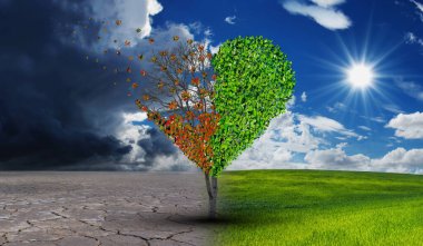 Dört mevsimde ağaç aşkı, tüm gözyaşı için romantik zaman, yılın dört mevsiminde kalp gibi görünen ağaç ve yıl boyunca toprakta büyüyen Sevgililer Günü. İklim değişikliği ilişki krizi kavramı.