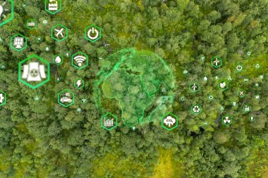 Ormanın çevre, sürdürülebilir kalkınma ve yenilenebilir enerji sınırı iklim değişikliği ve küresel ısınmaya dayanan yeşil işletmeler için en üst görünümde CO2 emisyon kavramını azaltma ikonu.