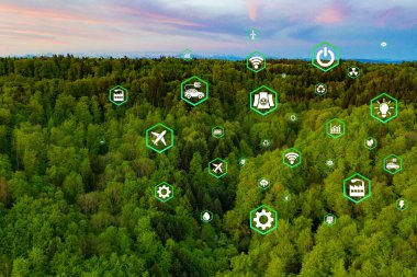 Çevre dostu taşımayı simgeleyen yeşil ormandaki hava manzaralı araba. Elektrikli sürüş modunda temiz ve seradan arındırılmış yeşil ulaşım kavramı.