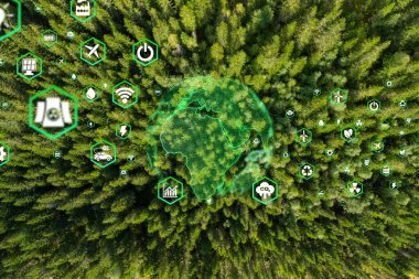 Ormanın çevre, sürdürülebilir kalkınma ve yenilenebilir enerji sınırı iklim değişikliği ve küresel ısınmaya dayanan yeşil işletmeler için en üst görünümde CO2 emisyon kavramını azaltma ikonu.