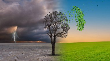 Bunama hastalığı, Alzheimer 'ın hastalığıyla başa çıkarken, insan kafası ve beyni ön plan şeklinde bir ağacın tıbbi bir simgesi olarak görülür. Yapraklar, zeka ve hafıza kaybında yaşlanma sorunları olarak görülür..