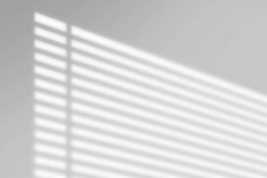 Yapraklar ve pencere camları beyaz arkaplan üzerinde gölge etkisi