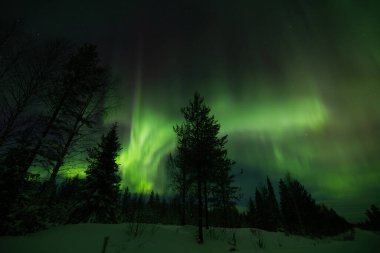 Laponya, Finlandiya 'da Aurora borealis (kuzey ışıkları).
