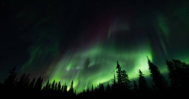 Aurora ve dağların silueti. Lofoten Adaları, Norveç. Aurora borealis. Yeşil kuzey ışıkları. Yıldızlı ve kutuplu gökyüzü. Güzel aurora 'lı gece manzarası, mavi gökyüzü. Doğa arkaplanı