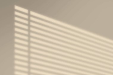 Minimalist soyut basit hafif bej arkaplan ürün sunumu için ışık ve duvardan güzel gölgeler.