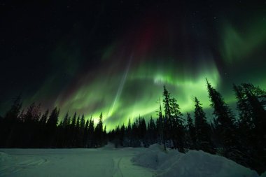 Renkli Aurora Borealis, Kuzey Işıkları, Yellowknife, Kuzeybatı Bölgesi, Kanada