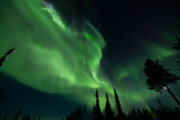 Alaska Karayolu boyunca Aurora Borealis boyunca Kuzey Kanada 'da karla kaplı ağaçlar ve manzarayla kışın görülen göz kamaştırıcı yeşil kuzey ışıkları.