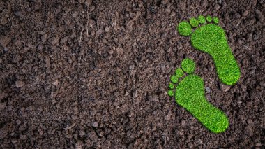Toprak zeminde yeşil çimen ekolojik ayak izi, Sağlıklı ECO ekoloji çevre kavramı