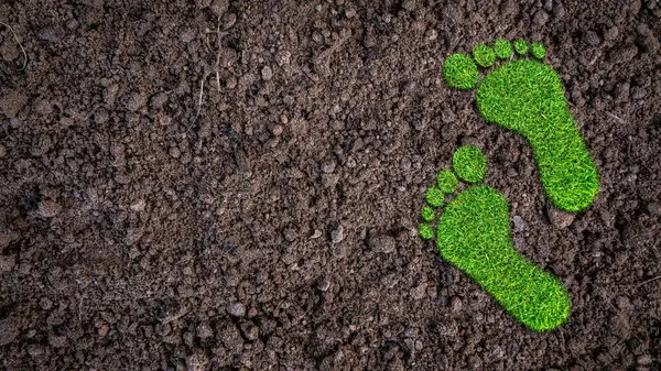 Toprak zeminde yeşil çimen ekolojik ayak izi, Sağlıklı ECO ekoloji çevre kavramı