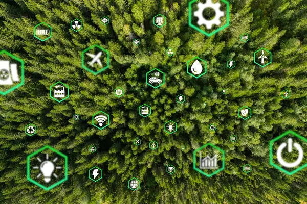 Çevre dostu taşımayı simgeleyen yeşil ormandaki hava manzaralı araba. Elektrikli sürüş modunda temiz ve seradan arındırılmış yeşil ulaşım kavramı.