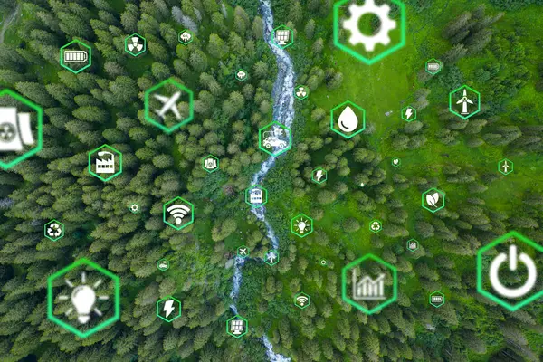 Çevre dostu taşımayı simgeleyen yeşil ormandaki hava manzaralı araba. Elektrikli sürüş modunda temiz ve seradan arındırılmış yeşil ulaşım kavramı.