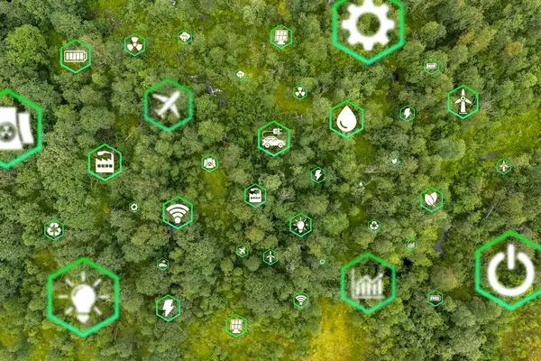 Çevre dostu taşımayı simgeleyen yeşil ormandaki hava manzaralı araba. Elektrikli sürüş modunda temiz ve seradan arındırılmış yeşil ulaşım kavramı.