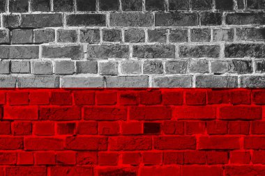 Şehir merkezindeki tuğla bir duvarda Polonya bayrağının resmi. Bağımsızlık Günü Polonya 11 Kasım.