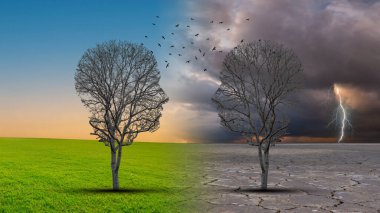 İletişim ortaklığı ve takım çalışması sembolü, ağ ilişkileri ve doğa işbirliğinin bir sembolü olarak birbirine bağlı ağaç ve kuşlardan oluşan iki insan kafası..