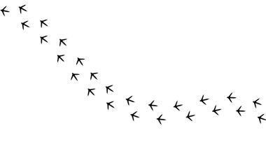 Tavuk ayak izi Dikişsiz desen kumaş, duvar kağıdı, afiş için. Horoz damgası