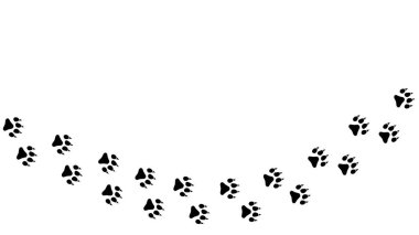 Paw vektör ayak izi ayı. Tişörtler, arka planlar, desenler, tasarım, tebrik kartları, çocuk baskıları vs. için oyuncak ayı silueti şeklindeki çapraz izler. Bu fırça, herhangi bir iz çiz..
