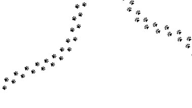 Paw vektör ayak izi ayı. Tişörtler, arka planlar, desenler, tasarım, tebrik kartları, çocuk baskıları vs. için oyuncak ayı silueti şeklindeki çapraz izler. Bu fırça, herhangi bir iz çiz..