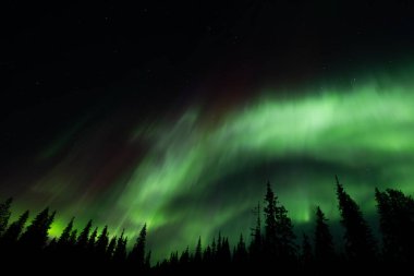 Karlı köknar ağaçları ve yıldızlı gökyüzünde inanılmaz kuzey ışıkları olan peri kışı dağları. Kutup ışıklarıyla Noel gecesi manzarası. Aurora Borealis