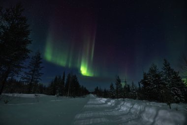 Çok renkli büyük yeşil renkli Aurora Borealis 'in güzel bir resmi, Aurora Polaris, aynı zamanda kış boyunca gökyüzünde Kuzey Işıkları olarak da bilinir Laponya, Finlandiya, İskandinavya