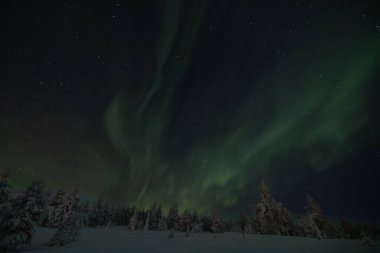 Çok renkli büyük yeşil renkli Aurora Borealis 'in güzel bir resmi, Aurora Polaris, aynı zamanda kış boyunca gökyüzünde Kuzey Işıkları olarak da bilinir Laponya, Finlandiya, İskandinavya
