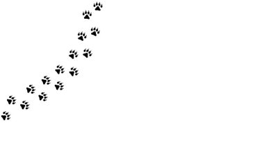 Köpek ya da kedi pençesi izi. Ayak izi hayvanı. Siyah çizgiler, beyaz arka planda izole edilmiş hayvanlar. Kaplan pençesi. Güzel köpek deseni. Yavru köpek pisti. Kedi adımları. Kedi bacağı. Vektör illüstrasyonu